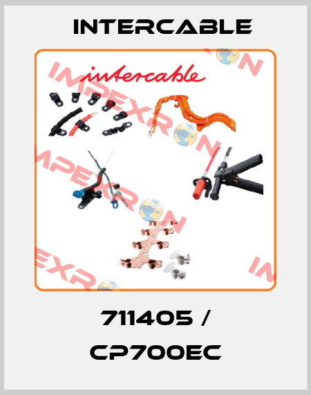 711405 / CP700EC Intercable