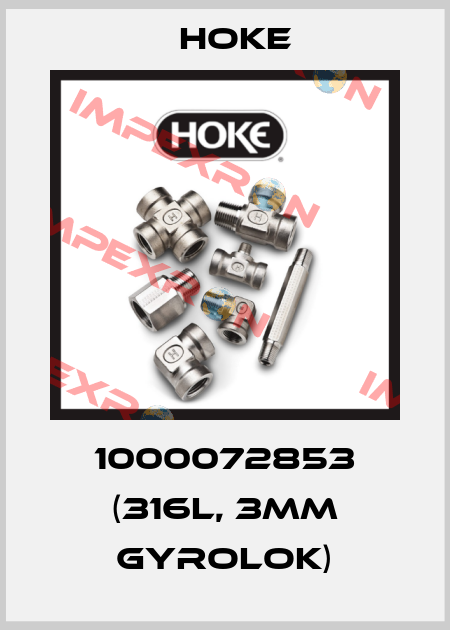 1000072853 (316L, 3MM GYROLOK) Hoke