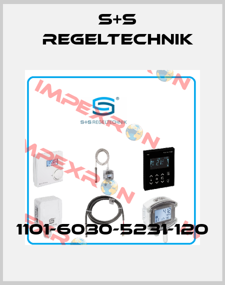 1101-6030-5231-120 S+S REGELTECHNIK