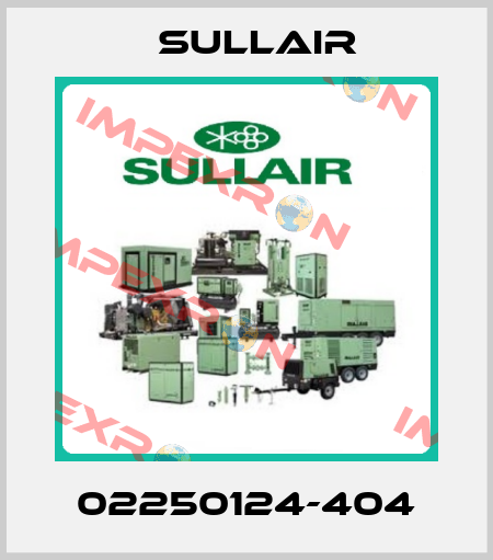 02250124-404 Sullair