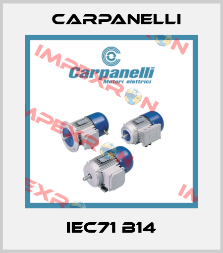 IEC71 B14 Carpanelli
