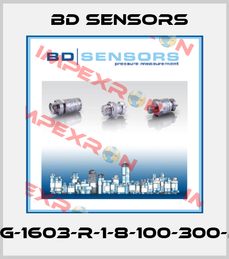 30.600G-1603-R-1-8-100-300-2-1-000 Bd Sensors