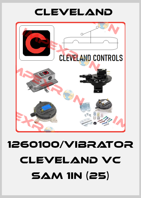 1260100/Vibrator Cleveland VC SAM 1in (25) Cleveland