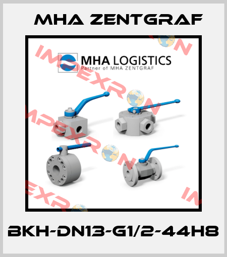 BKH-DN13-G1/2-44H8 Mha Zentgraf
