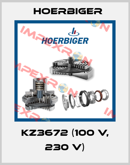 KZ3672 (100 V, 230 V) Hoerbiger