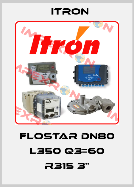 Flostar DN80 L350 Q3=60 R315 3" Itron