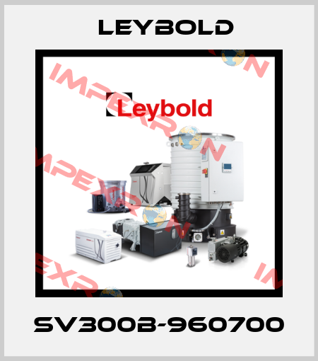 SV300B-960700 Leybold