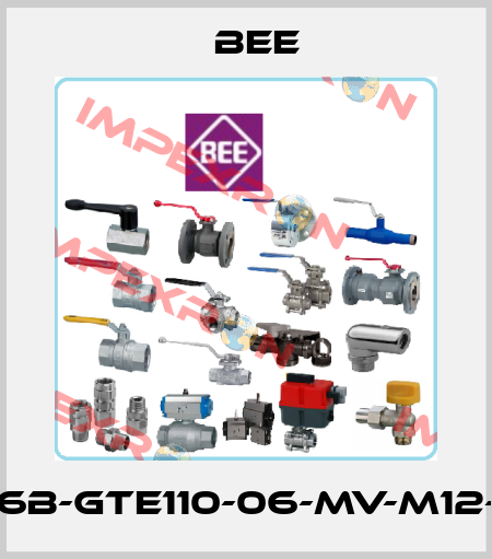 AKP75-50-16B-GTE110-06-MV-M12-DSD-SD-SV BEE