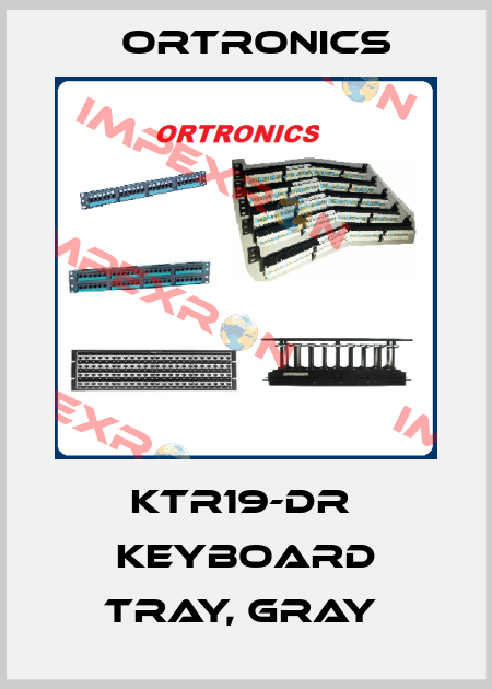 KTR19-DR  Keyboard Tray, Gray  Ortronics