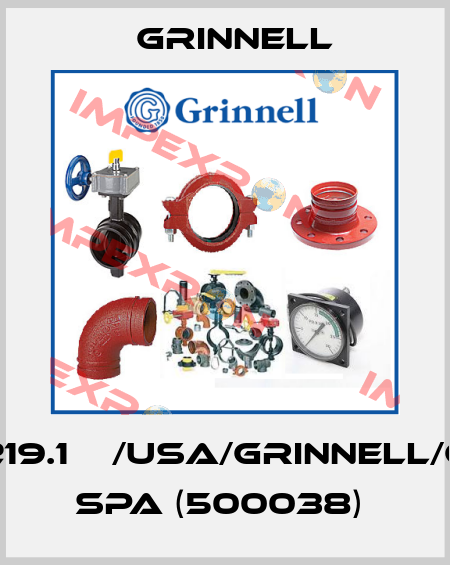 8“/219.1ММ/USA/GRINNELL/G/4/ SPA (500038)  Grinnell