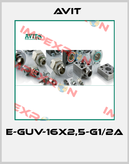 E-GUV-16x2,5-G1/2A  Avit