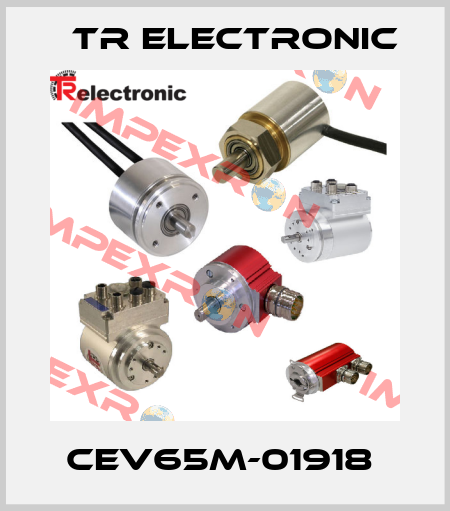 CEV65M-01918  TR Electronic