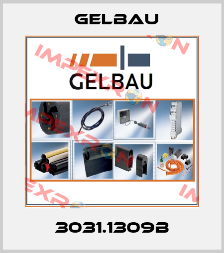 3031.1309B Gelbau