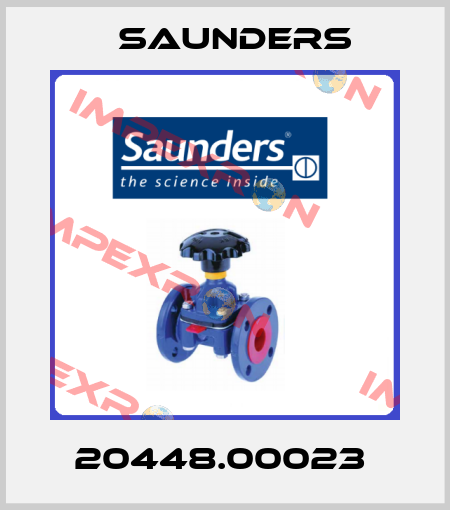 20448.00023  Saunders