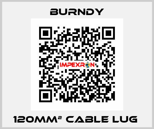 120mm² cable lug  Burndy