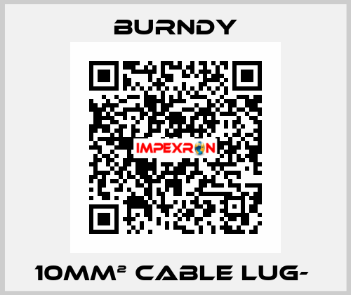 10mm² cable lug-  Burndy