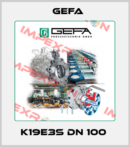 K19E3S DN 100  Gefa
