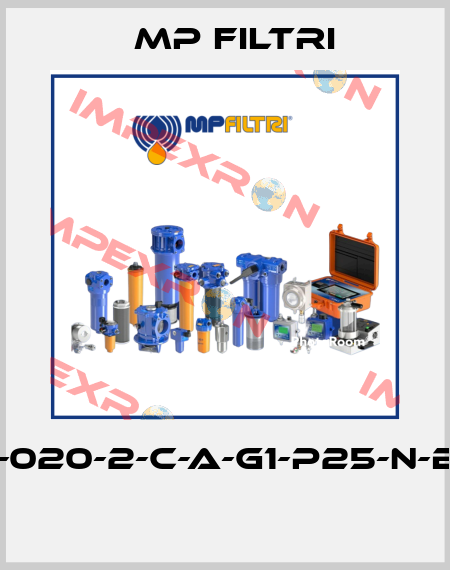 MPT-020-2-C-A-G1-P25-N-B-P01  MP Filtri