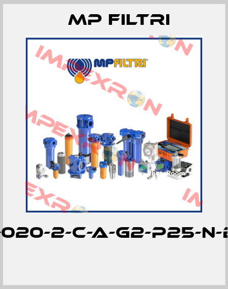 MPT-020-2-C-A-G2-P25-N-B-P01  MP Filtri
