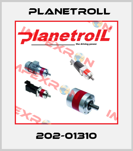 202-01310 Planetroll