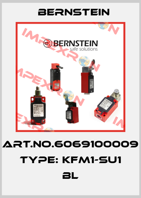 Art.No.6069100009 Type: KFM1-SU1 BL Bernstein