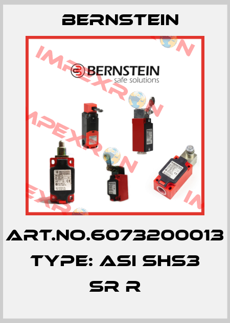 Art.No.6073200013 Type: ASI SHS3 SR R Bernstein