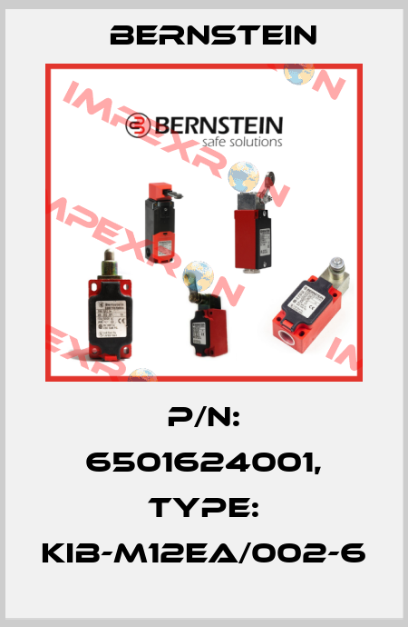 P/N: 6501624001, Type: KIB-M12EA/002-6 Bernstein
