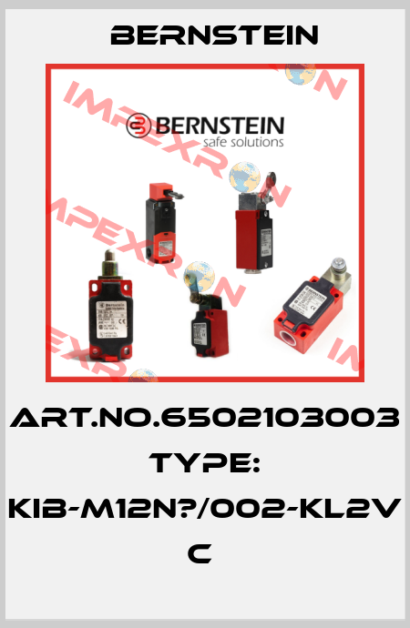 Art.No.6502103003 Type: KIB-M12N?/002-KL2V           C  Bernstein