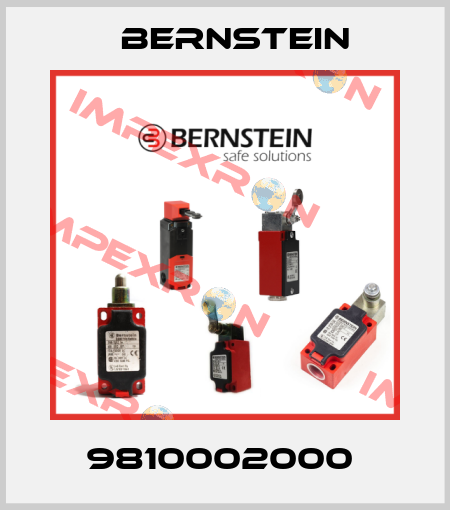 9810002000  Bernstein