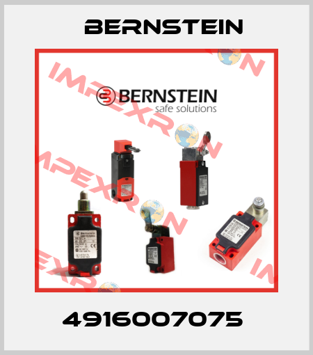 4916007075  Bernstein