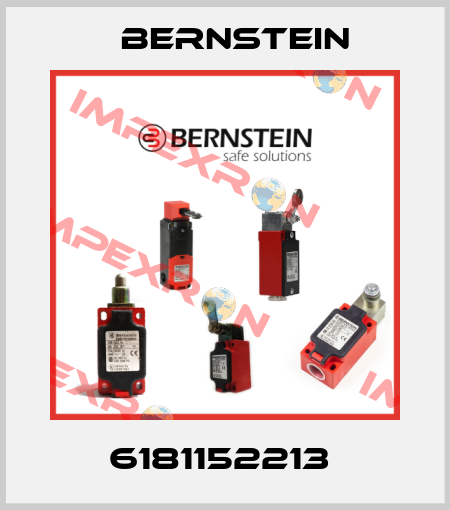 6181152213  Bernstein