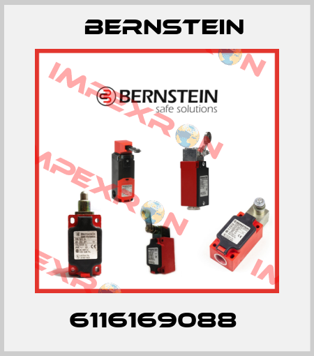 6116169088  Bernstein