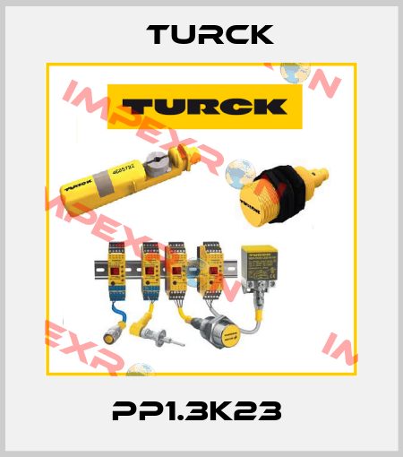 PP1.3K23  Turck