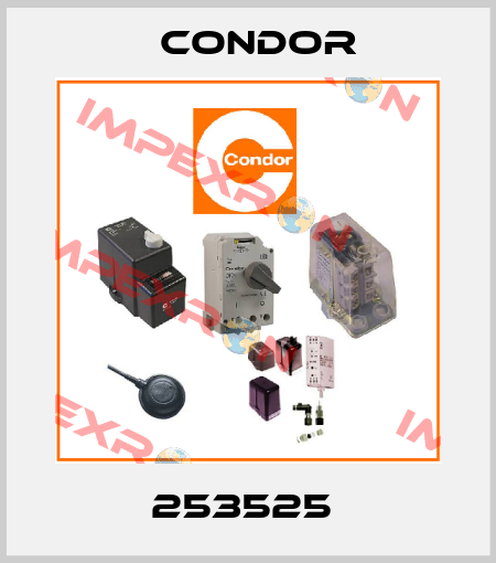 253525  Condor