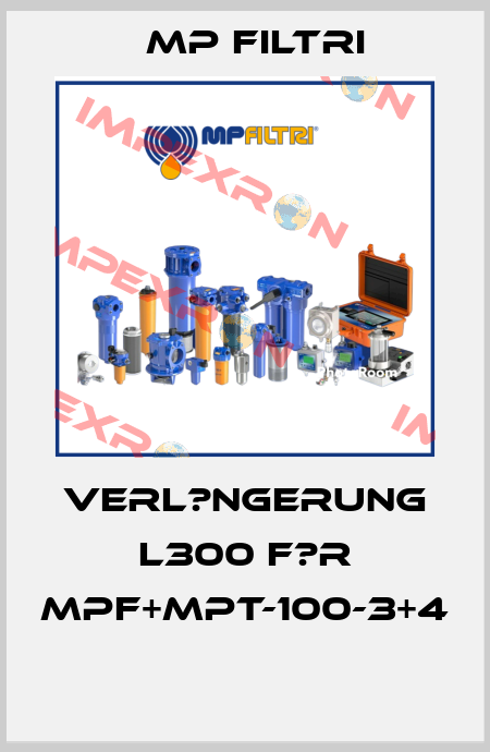Verl?ngerung L300 f?r MPF+MPT-100-3+4  MP Filtri