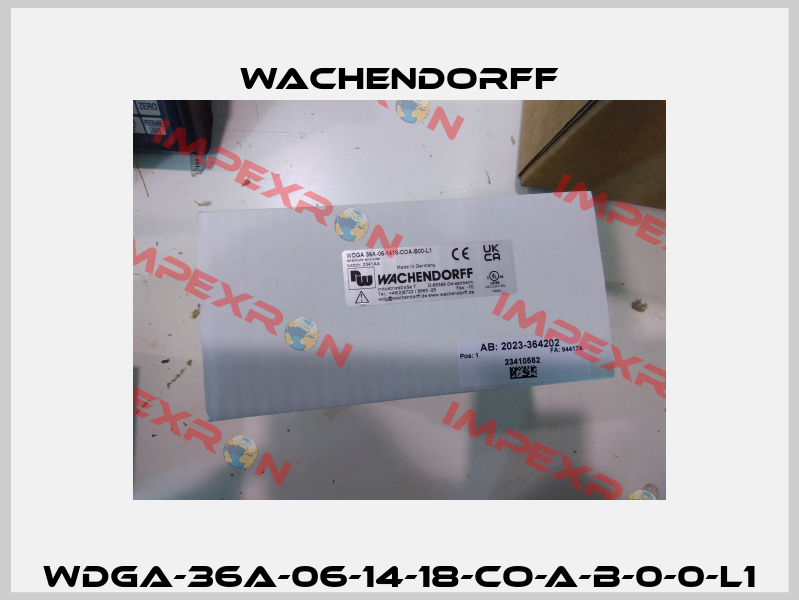 WDGA-36A-06-14-18-CO-A-B-0-0-L1 Wachendorff