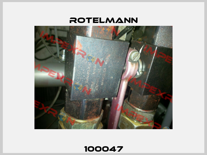 100047 Rotelmann