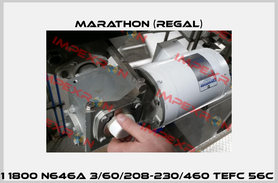 1 1800 N646A 3/60/208-230/460 TEFC 56C  Marathon (Regal)