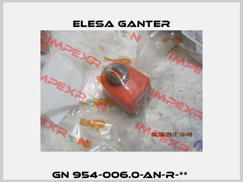 GN 954-006.0-AN-R-**  Elesa Ganter