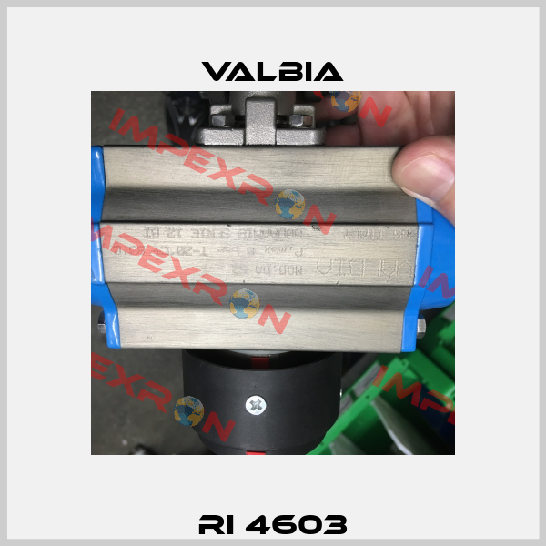 RI 4603 Valbia