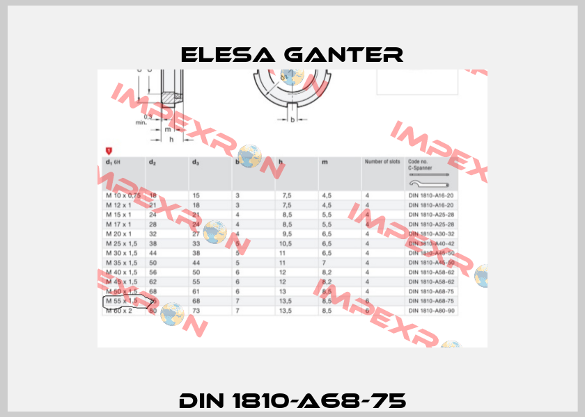 DIN 1810-A68-75 Elesa Ganter