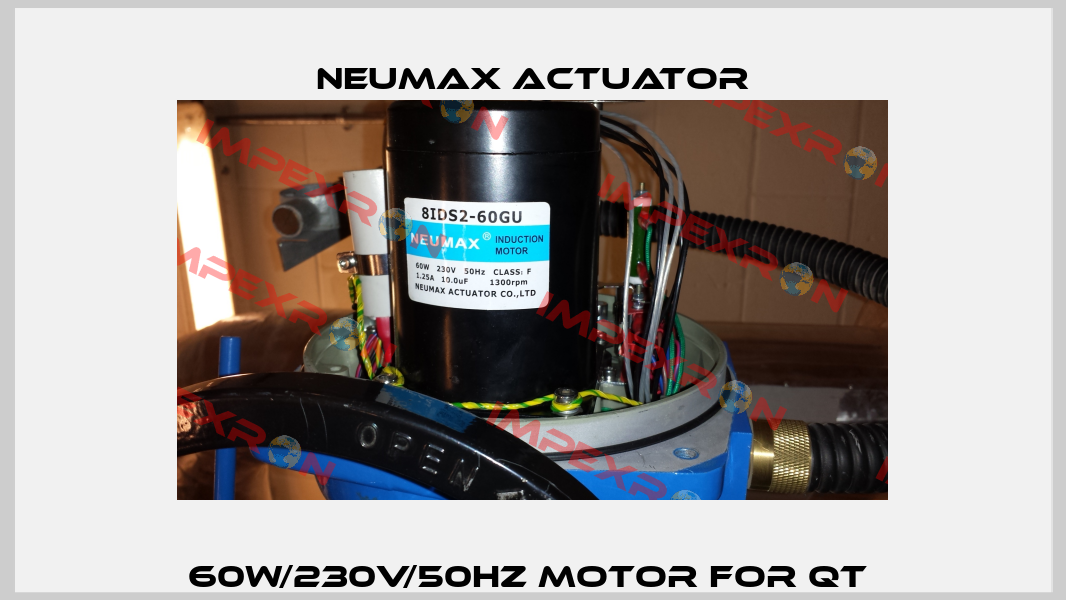 60W/230V/50Hz Motor for QT  Neumax Actuator