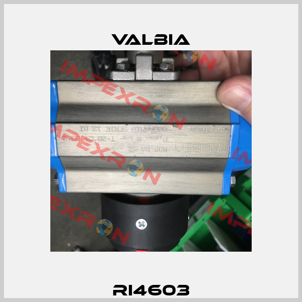 RI4603 Valbia