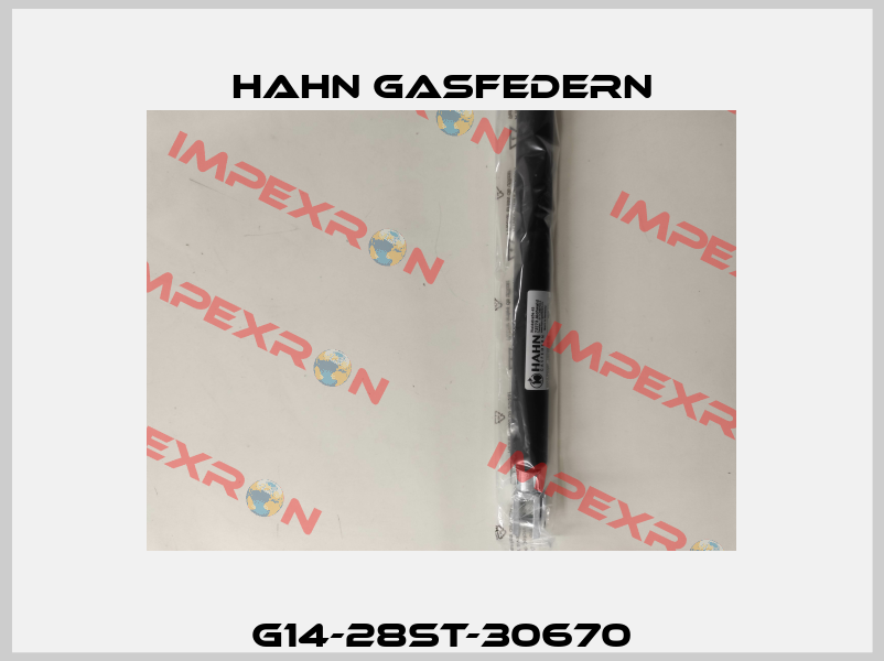 G14-28ST-30670 Hahn Gasfedern