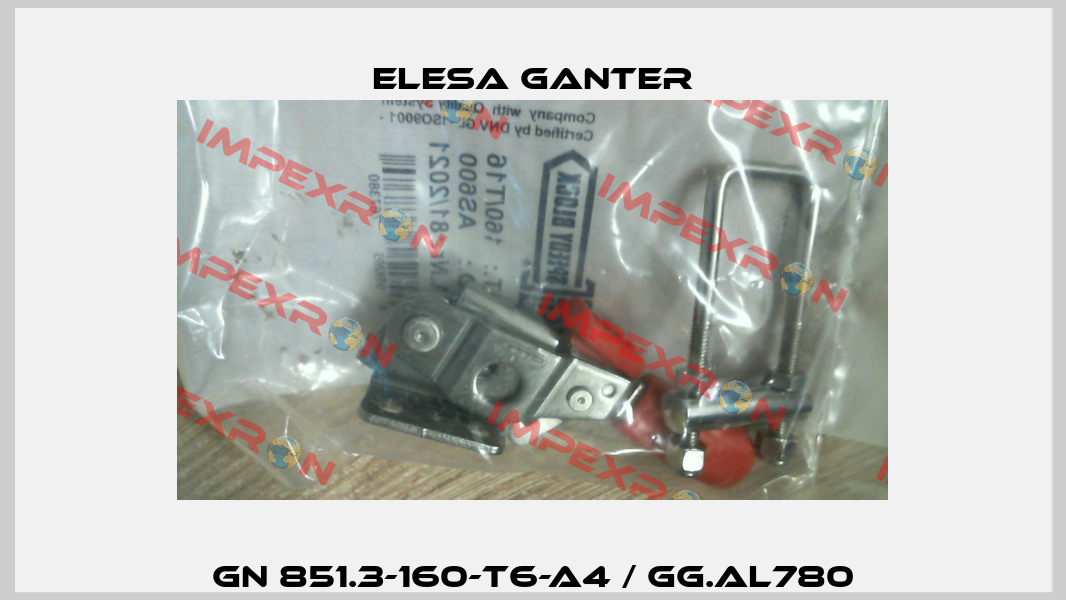 GN 851.3-160-T6-A4 / GG.AL780 Elesa Ganter