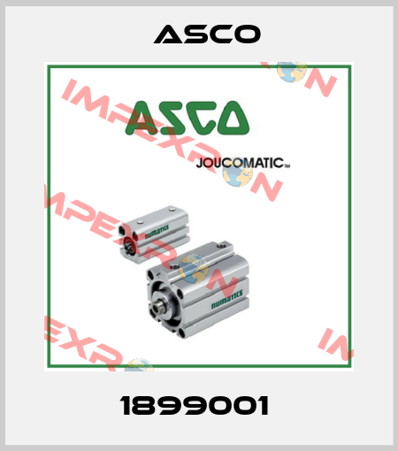 1899001  Asco
