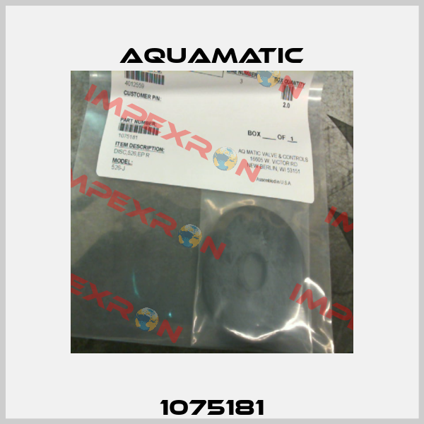 1075181 AquaMatic